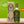 Charger l'image dans la galerie, huile d'olive vierge extra Novo Picual origine Espagne, domaine Omed, huile premium
