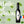 Charger l'image dans la galerie, Moulin Castelas - Huile d'olive & Pistou - Edition Elysée - 250ML