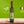 Charger l'image dans la galerie, Château de Montfrin (Jean-René de Fleurieu) Fruité vert 500 ml Huile d'olive vierge extra BIO "Moulin des Ombres"