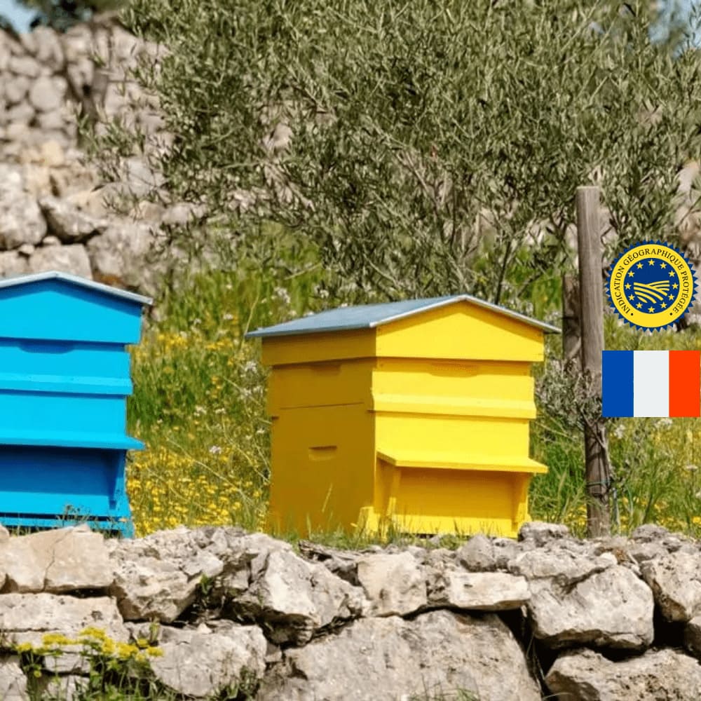 🇫🇷 Miel de fleurs origine France - 250g