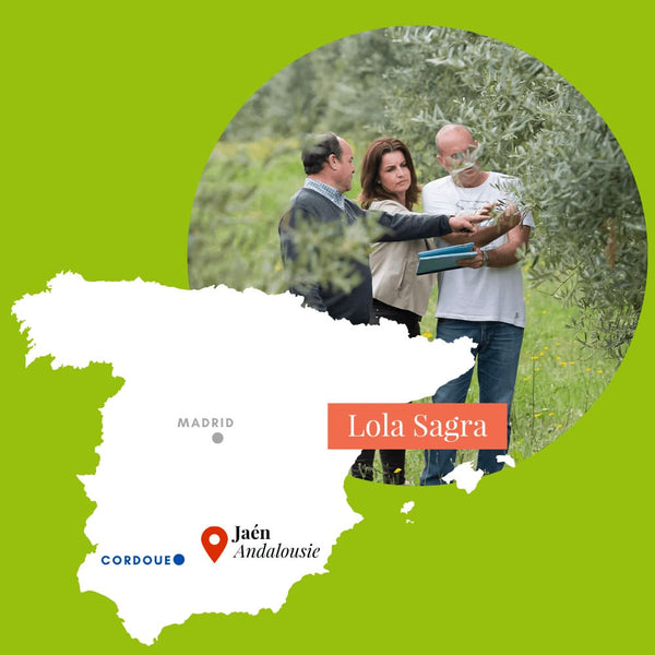 Nobleza del Sur Fruité vert 500 ml avec fourreau Day 100% Picual