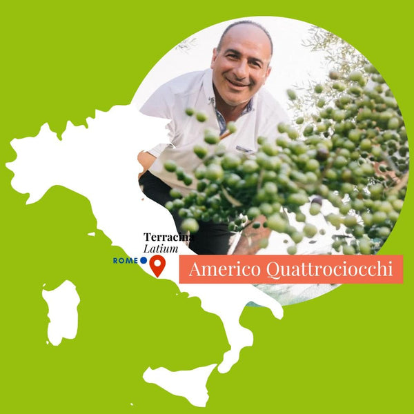 Producteur Italien Americo Quattrociocchi, Terracina, Latium, huile d'olive vierge extra fruité vert 50CL