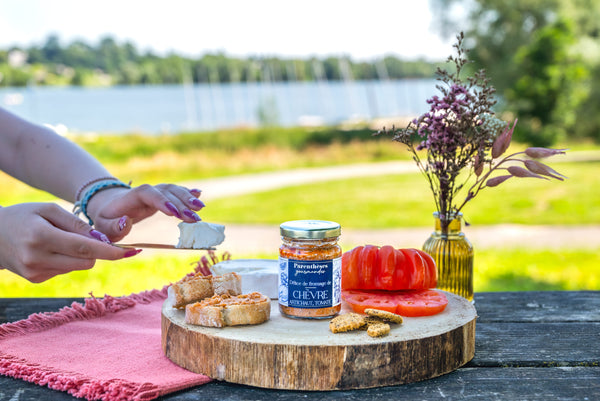 tartinable chèvre tomate