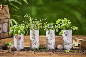 jardin aromatique et huiles d'olive vierge extra 