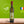 Charger l&#39;image dans la galerie, Château de Montfrin (Jean-René de Fleurieu) Fruité vert 500 ml Huile d&#39;olive vierge extra BIO &quot;Moulin des Ombres&quot;
