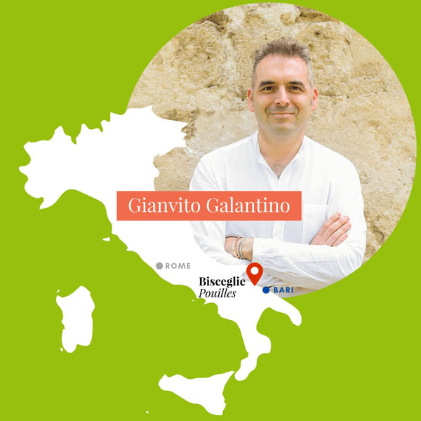 Galantino (Gianvito Galantino) Fruité mûr Huile d'olive vierge extra dans son huilier en céramique